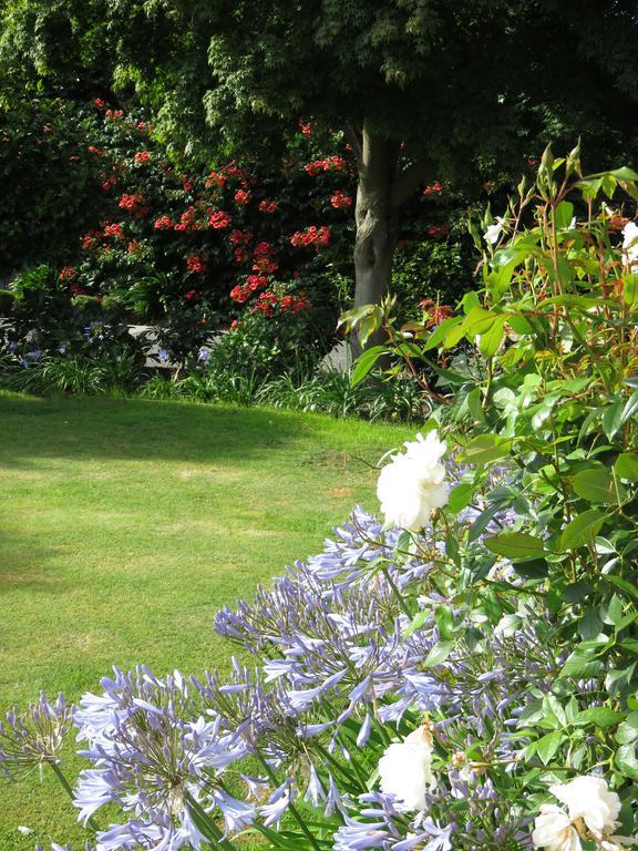 Maples On Harewood Bed & Breakfast Крайстчърч Екстериор снимка