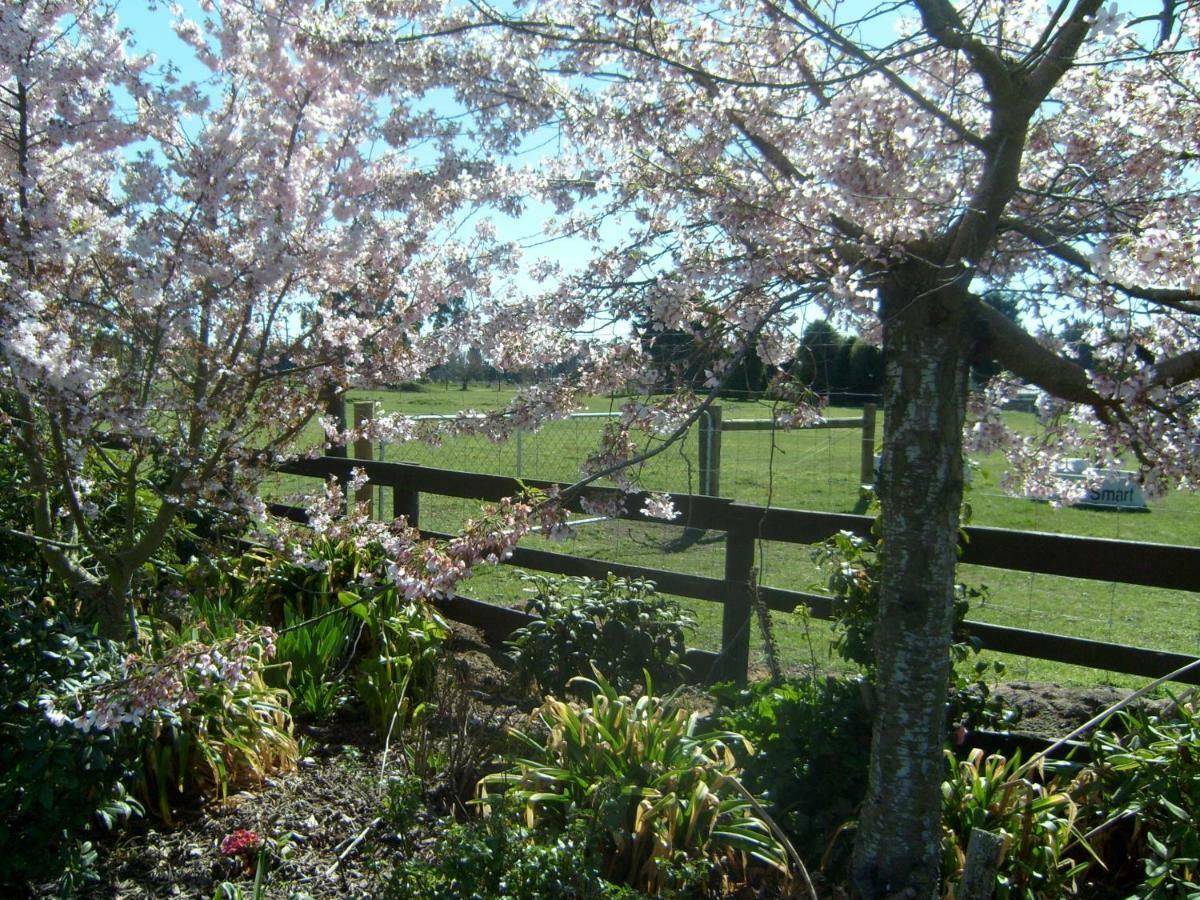 Maples On Harewood Bed & Breakfast Крайстчърч Екстериор снимка
